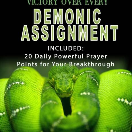 Victory Over Every Demonic Assignments (Deliverance Series Vol. 3) (EBOOK)
